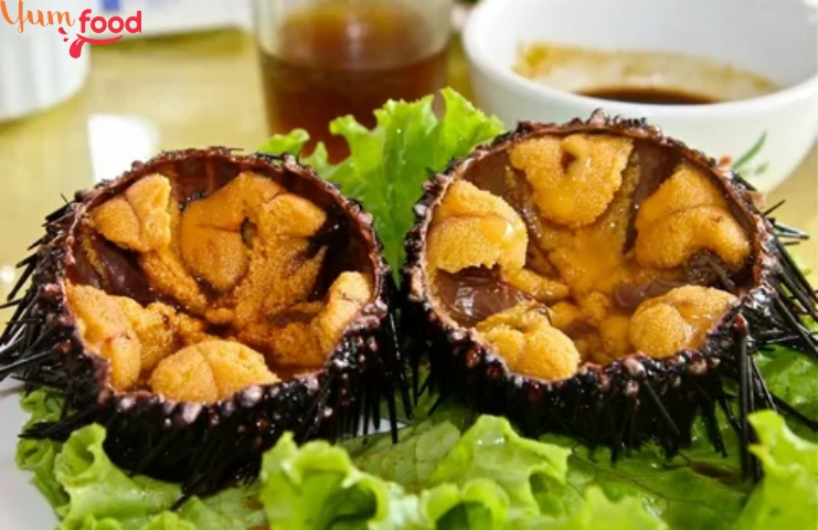 Sea Urchin Food